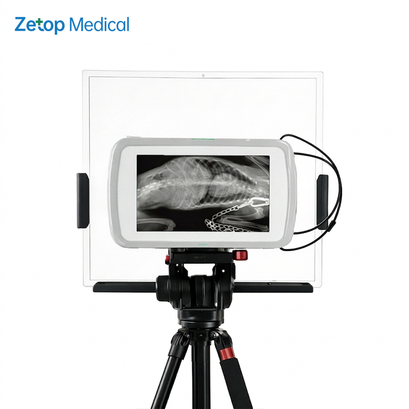 Veterinary X-Ray - Harga Alat Rontgen Digital Veteriner Portabel,