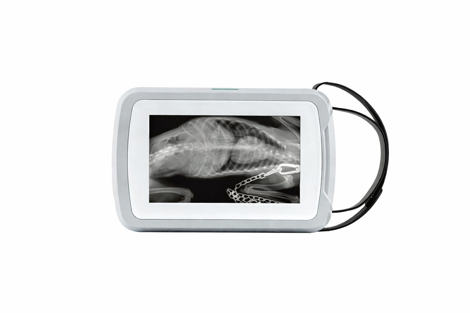 Harga Alat Rontgen Digital Vet - Veterinary X-Ray ulasan dan harga