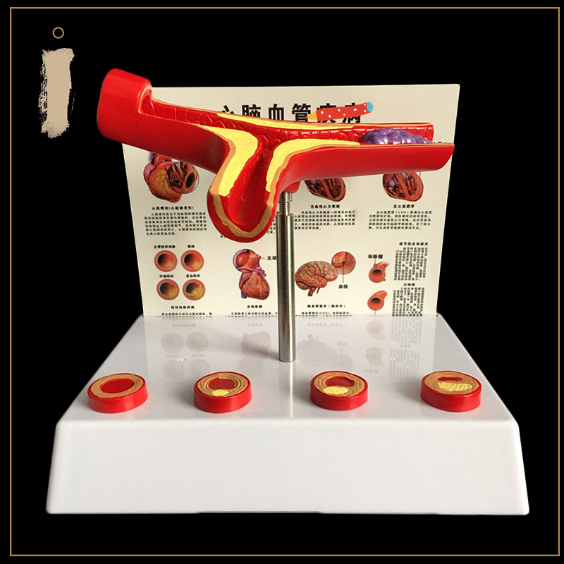 50 Kali Pembesaran Pembuluh Da - Medical Lab And Science ulasan dan harga